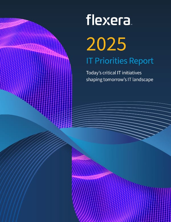 2025 IT Priorities Report